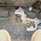 takeuchi-tl12v2-image-34