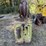 eagle-carriage-image-6