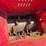 raytree-hydraulic-block-crusher-(high-flow-image-3
