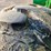 john-deere-6230-image-59