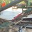 #125-•-barn-sweep-conveyor-image-5