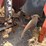 2014-ditch-witch-rt45-image-11