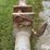massey-ferguson-quick-hitch-image-10