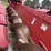2008-case-ih-2412-image-24