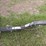 2016-wacker-neuson-ltv6-image-11
