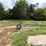 irrigation-pipe-trailer-image-4