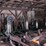 #114-•-corley-mill-entirety-of-lots-110---113-image-1