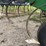 john-deere-2210-image-20