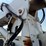 2005-international-durastar-4300-image-100