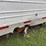 2017-utility-102'-x-53"-image-17