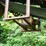 #151-•-concave-belt-conveyor-image-6