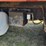 1986-peterbilt-359-image-13