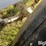 willmar-600-image-17