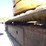 2012-caterpillar-303.5d-cr-image-29