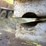 eagle-carriage-image-10