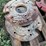 4-wheel-weights-image-4