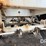 2019-rayman-dry-trailer-(dr12106-unit-1370)-image-45
