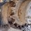 2016-bobcat-t770-image-24