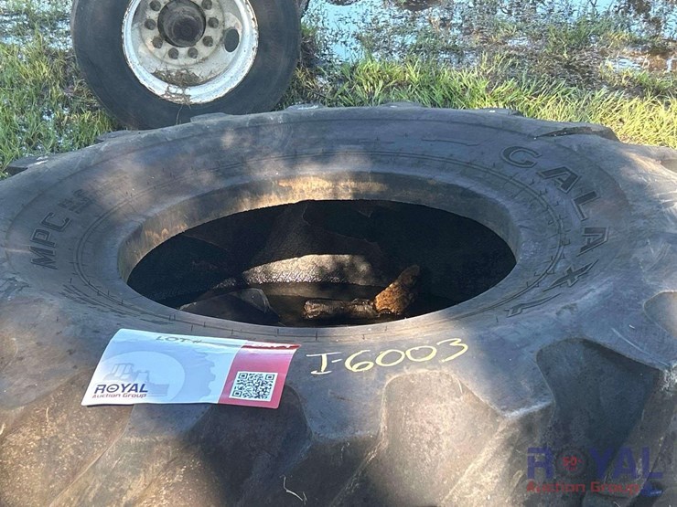 lot-of-2-loader-tires-image-5