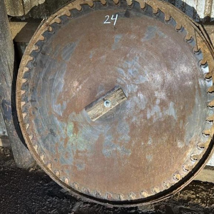 #137 • Saw Blade