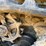 2016-canycom-sc75-image-13