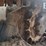 2019-bobcat-t740-image-23