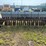 case-grain-drill-image-3