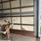 2017-international-durastar-4300-image-19