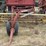 new-holland-258-image-2