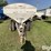 willmar-600-image-2