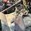 2005-volvo-tri/a-dump-truck-4v5k99gh55n391882-image-25