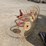 #293-•-3pt-4-wheel-rake-image-7
