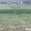 john-deere-400-image-7
