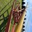 mayrath-10”-x-60ft-auger-image-18