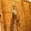 7-ft-6-in.-x-16-ft-storage-container-image-14