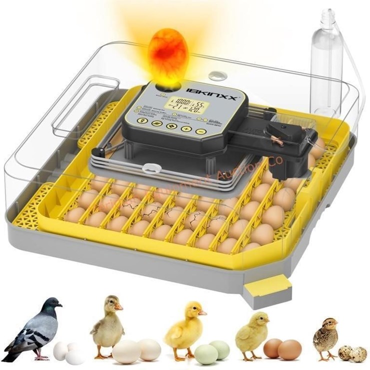 Incubator for Hatching Eggs-48 Egg Capacity