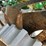 #225-•-westfield-130-71-13"-grain-auger-image-38