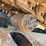 2017-caterpillar-323fl-image-11