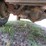 1990-dodge-ram-250-image-16