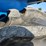 ford-4600-image-40