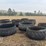 feeders-10-tire-234-image-1