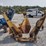 tree-spade-image-2