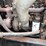 #9859-•-2000-freightliner-single-axle-utility-dump-truck(has-wi-salvage-title)-image-24