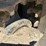 2019-bobcat-t650-image-41