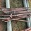 25-count--6'-t-posts-image-1