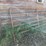 2x-12ft-and-14ft-gates-image-1