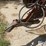 international-12-image-9