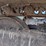 caterpillar-312-image-40
