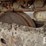komatsu-pc220-lc-8-image-32