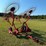 8-star-hay-rake-(pull-type,-hydraulic)-image-1